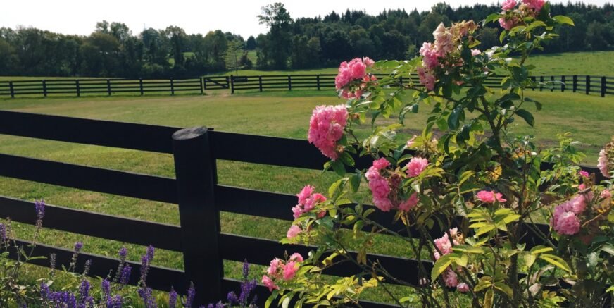 Processed with VSCO with c3 preset